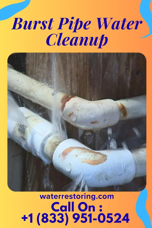 Burst Pipe Water Cleanup in West Buechel, KY