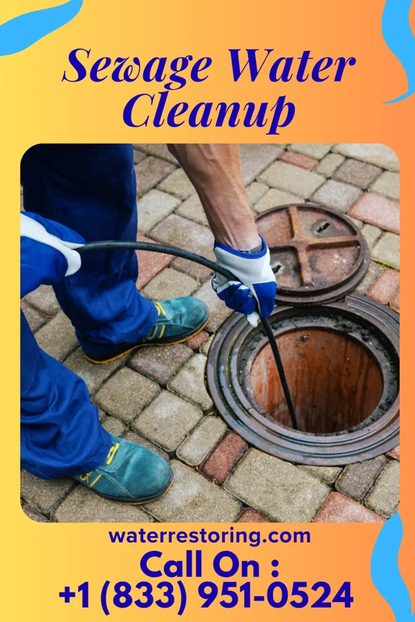 Sewage Water Cleanup in West Buechel, KY