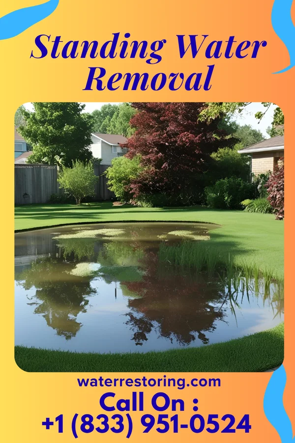 Standing Water Removal in West Buechel, KY